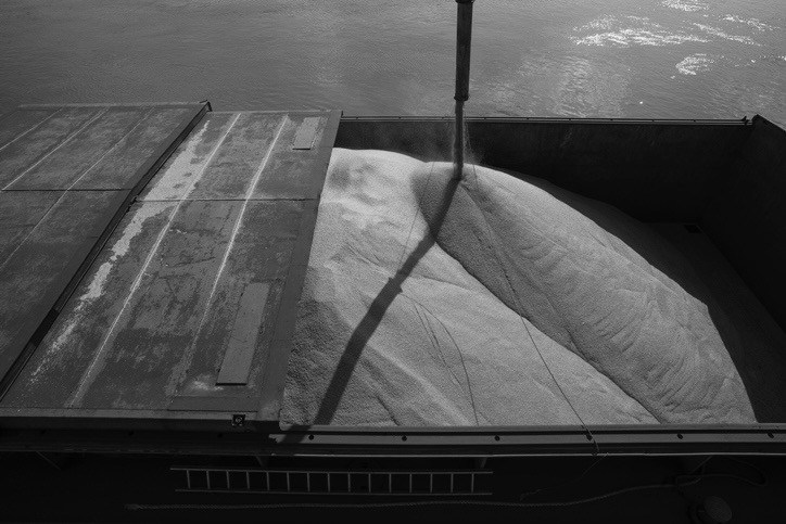 Grain loaded into a vessel hold under survey